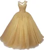 Quinceanera sukienki Księżniczki Aplikacje bez pleców Ball Ball Suknia z tiulowym koronkowym up plus size Sweet 16 Debiutante Party Birthday Vestidos de 15 Anos Q02