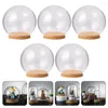 Dekorativa blommor 5 datorer Dekorationer Child Christmas Snow Globes Glass Dome Display Case Micro Landscape