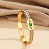 Bangle 316L rostfritt stål Green Zircon Eye Demon Women's Hip Hop Armband Armband Voor Vrouwen