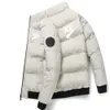 Veste en coton doudoune col montant 2023 nouveau col debout hiver épaissi chaud hommes court vers le bas coton manteau édition coréenne
