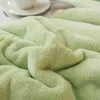 Blankets Winter Bed Solid Color Fleece Throws Adult Thick Warm Sofa Blanket Super Soft Duvet Cover Luxury 231030