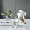 Vasos estilo minimalista pequeno e fresco vaso de vidro combinação nórdica ins decoração de casa arranjo de flores