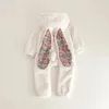 Macacão de inverno bebê meninas meninos coelho macacão slouchy confortável zíper nascido macacão com capuz pijama de pelúcia homewear outfits 231030