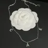 Boutique Designer Merk Ketting Hoge Kwaliteit 925 Verzilverd Brief Lange Ketting Klassieke Luxe Sieraden Accessoires Ontwerp voor Vrouwen Romantische Liefde Gift Ketting