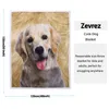 Decken Zevrez Golden Retriever Decke, süßes Geschenk für Kinder mit Hund darauf, weiches Flanell, Geschenke für Liebhaber