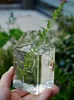 Vases Mini Vase Glass Pomegranate House One Piece Every Day Different Mood