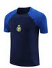 23/24 AL NASSR FC RONALDO SOCCER JERSEYS MEN KITAL HILAL SAUDIA uniform Benzema Riyadh Football Jersey Training Suit 2023 Saudi Arabia Tracksuit