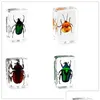 芸術品と工芸品スパイダーバタフライスコーピオン昆虫標本透明