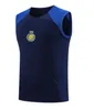 23/24 Al Nassr FC Ronaldo Futebol Jerseys Homens KitAl Hilal Saudita Uniforme Benzema Riyadh Football Training Terno 2023 2024 Mangas Curtas Tracksuit Survetement