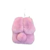 Sacs de soirée automne et hiver nouveau Rex lapin cheveux femmes sac à bandoulière oreilles oreilles mignon en peluche fourrure boucle magnétique