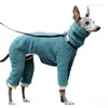 Vestuário para cães 2024 Winter Turtleneck Whippet Roupas Italian Greyhound Bedlington