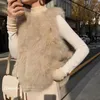 Dames bont faux vest dames herfst winter luxe ontwerp kort vest Koreaanse mode pluche dikke warme mouwloze tops bovenkleding