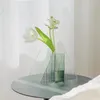 Vasi Decorazione nordica Vasi per piante domestiche Vetro decorativo per composizioni floreali Arredamento di lusso Soggiorno con pavimento alto