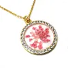 Pendentif Colliers Renya Véritable Fleur Séchée Ronde Collier Court Éternel Strass Pour Femmes Romantique Bijoux Accessoires Cadeau