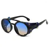 Sunglasses Vintage Retro Round For Mens Womens Cyber Punk Glasses Gothic Steampunk UV400