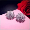 Stud Earrings S925 For Women Needles Snowflake Cubic Zirconia Fine Jewelry Temperament Bridal Wedding Brincos Accessories