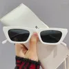 Sunglasses Square Women Black Cat Eye Brand Designer Sun Glasses Female Travel Driver Gradient Fashion Eyewear