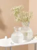 Vases Light Luxury High-End Glass Transparent Water Vase Decoration Living Room Flower Arrangement Nordic Modern Simple TV Cabinet