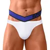 Sous-vêtements Modal hommes slips Bikini Sexy Gay hommes sous-vêtements mode culotte U convexe taille basse respirant mâle Cuecas