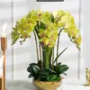 Vasi Luce Tocco Di Lusso Phalaenopsis Simulazione Disposizione Floreale Finta Fiore Soggiorno Set Pianta In Vaso Decorativa