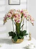 Vasos luz luxo toque phalaenopsis simulação falso arranjo floral flor sala de estar conjunto decorativo planta em vaso