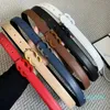 belt Color clasp belts for women Luxury designer belt Vintage Pin needle Buckle Width