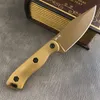 Coltello a lama fissa BK18 Arpione corto Tan Harpoon Point Blade Coltello dritto da combattimento esterno Coltelli multiuso per difesa tattica da caccia da campeggio 535 4850 3300 15080 176