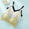 Completo da yoga Reggiseno intero sexy da donna Senza anello in acciaio Intimo traspirante di grandi dimensioni raccolto push up Lingerie semplice Bralette senza cuciture