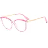 Lunettes de soleil Cadres Anti Blue Light Lunettes optiques Mode Cat Eye Lunettes Cadre Hommes Femmes TR90 Spring Leg Computer Game Lunettes Lunettes