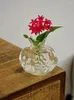 Vases Mini Vase Glass Pomegranate House One Piece Every Day Different Mood