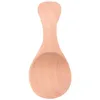 Spoons 48Pcs Small Wooden Salt Spoon Solid Wood Condiments Handmade Honey Teaspoon Seasoning Sugar Coffee Tea Crude