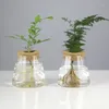 Vases Mini Pot de fleur hydroponique Vase de plante en verre Transparent Terrarium plantes de table Pots Vintage salon décoration de la maison