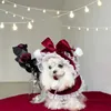 犬のアパレルペットドッグクリスマス服ファッションレッドマントの素敵な子犬犬猫の衣服プリンセスマントー衣装ヨークシャー231030