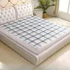 Blankets Flannel High Temp Electric Blanket Double Plugg Single Heating Warm Room Manta Electrica De Calor Furniture