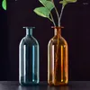 Вазы Красочное стекло для бутылок с растениями, прозрачная ваза для цветов, креативный гидропонный контейнер для террариума, настольный горшок, домашний декор