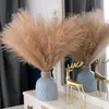 Suszone kwiaty sztuczne puszyste pampas trawiaste bukiet 10pc Dekoracja przyjęcia weselnego Boho Fake Reed Plant for DIY Room Decor Decor Flower 231030