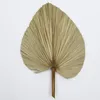 Decorative Flowers 5pcs Fan Leaf Natural Dried Palm Pu Flower Window Party Art Wall Hanging Decoration Home Shop Wedding Decor