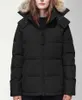 Para baixo jaquetas longo parka branco canadá pato windbreak mulheres parkas jaqueta gola inverno puffer real lobo casaco de pele ártico