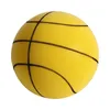 كرات الكرة الصامتة أطفال تدريب كرة السلة الداخلية لطفلة الطفل الرضيع الخاص 24 سم 231030