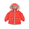 Daunenmantel Kleinkind Mädchen Reißverschluss Jacke Oberbekleidung Baby Mädchen Kapuzenjacken für Kinder Mäntel Kinder Cartoon Warm