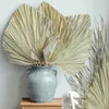 Decorative Flowers 5pcs Fan Leaf Natural Dried Palm Pu Flower Window Party Art Wall Hanging Decoration Home Shop Wedding Decor