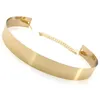 Riemen Luxe Mode Taille Ornament Vrouwen Verstelbare Lovertjes Metalen Brede Riem Goud Zilver Kleur Spiegel Tailleband