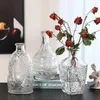 Vasi Idee Art Vaso trasparente Vaso Florarium Decorazioni idroponiche fiori fiore Bottiglia decorazione da tavolo da interno