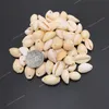 50pcs أبيض DIY Sea Shell Shell Cowrie Cowry Charm Beads extrible beach jewelry esconsities for women sea shells arics netclet diy diy modelybeads cowry sea