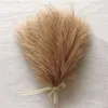 Suszone kwiaty sztuczne puszyste pampas trawiaste bukiet 10pc Dekoracja przyjęcia weselnego Boho Fake Reed Plant for DIY Room Decor Decor Flower 231030