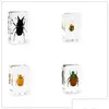 Arts and Crafts Spider Butterfly Scorpion Insect Wystawa w czystej żywicy Wadze papieru Dostawa Domowe prezenty ogrodowe DHFKS