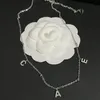 Boutique Designer Märke halsband högkvalitativ silverpläterad bokstav lång kedja klassiska lyx smycken tillbehör design för kvinnor romantisk kärlek gåva halsband