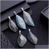 Charms Natural Irregar Eye Crystal Stone Labradorite Moonstone Sunstone Ciondolo Divinazione Spirituale Meditazione Gioielli Drop Dhgarden Dh4B8