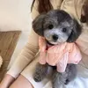 Cão vestuário doce algodão jaqueta casaco roupas térmicas roupas para cães pet bonito outono inverno yorkies impressão quente rosa menino ropa para perro