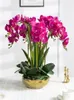 Vasos luz luxo toque phalaenopsis simulação falso arranjo floral flor sala de estar conjunto decorativo planta em vaso